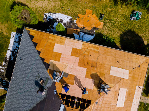 Best Tile Roofing Contractor  in Chapman, KS